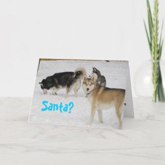 Siberian Husky Holiday Christmas Card