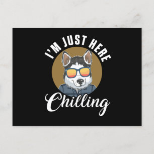 Siberian Husky Im Just Here Chilling Dog Breed Gif Postcard