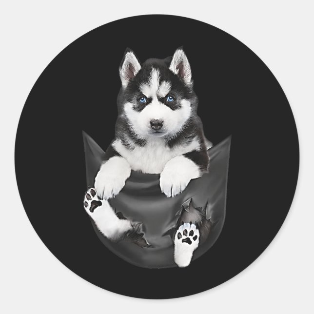 Siberian Husky In Pocket Puppy Classic Round Sticker (Front)