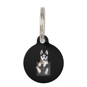 Siberian Husky In Pocket Puppy Pet Tag