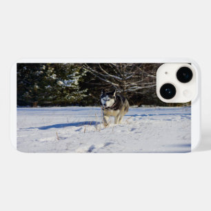 Siberian Husky In The Snow Case-Mate iPhone 14 Case