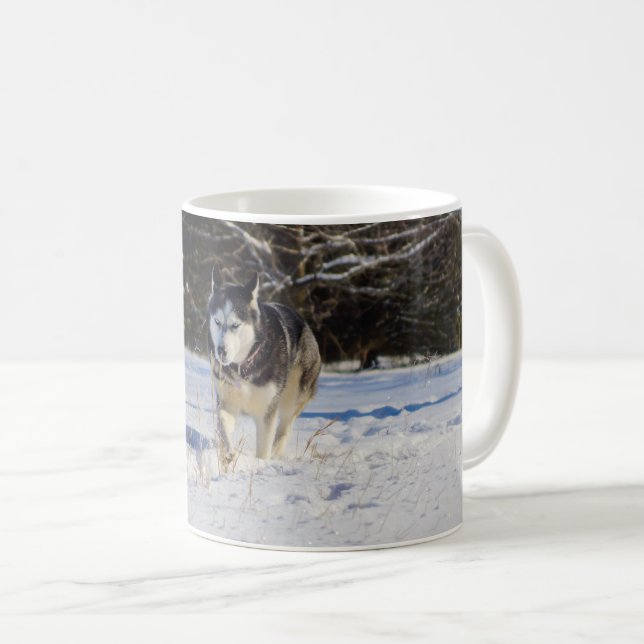 Siberian Husky In The Snow Coffee Mug (Front Right)