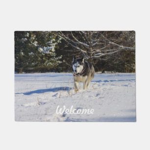 Siberian Husky In The Snow Doormat