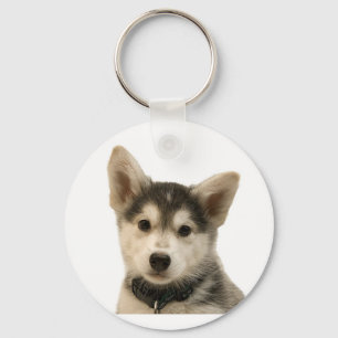 Siberian Husky Keychain