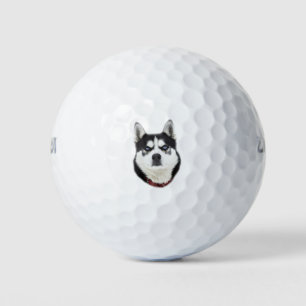 Siberian Husky Looks Angry Golf Balls