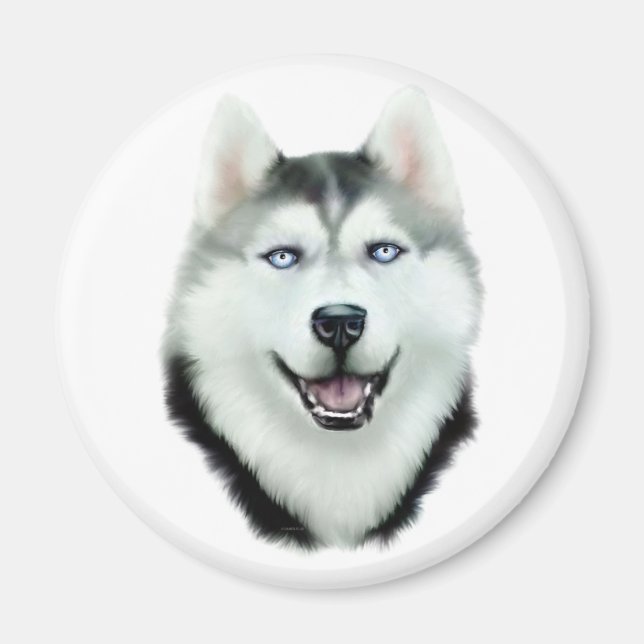 Siberian Husky Magnet (Front)
