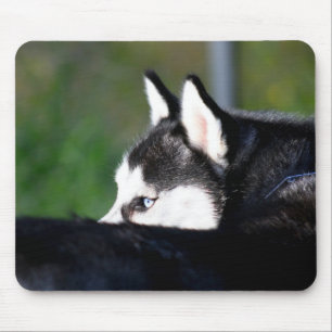 Siberian Husky Mousepad