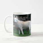 Siberian Husky Mug<br><div class="desc">Siberian Husky mug</div>