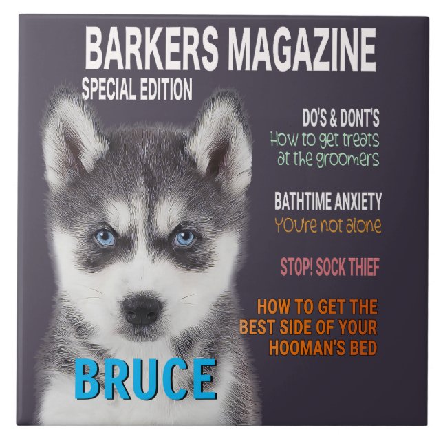 Siberian Husky Parody Magazine Cover Photo Print Tile (Front)