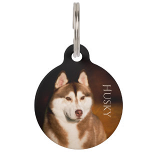 Siberian Husky Pet Tag