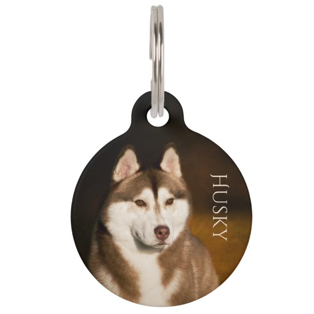 Siberian Husky Pet Tag (Front)
