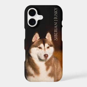 Siberian Husky Phone Case