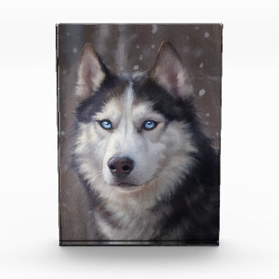 Siberian Husky Photo Block