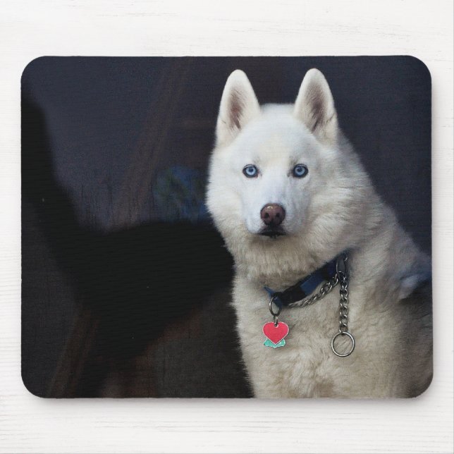 Siberian Husky Photo Mouse Mat (Front)