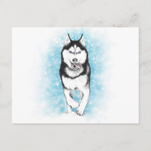 Siberian Husky Postcard