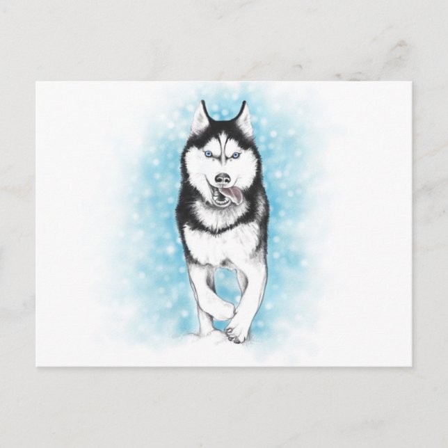 Siberian Husky Postcard (Front)
