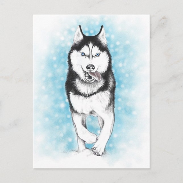 Siberian Husky Postcard (Front)