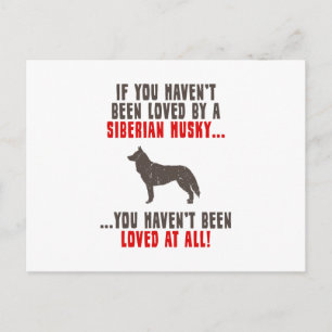 Siberian Husky Postcard