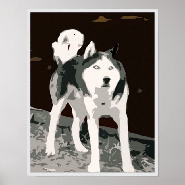Siberian husky poster (Front)