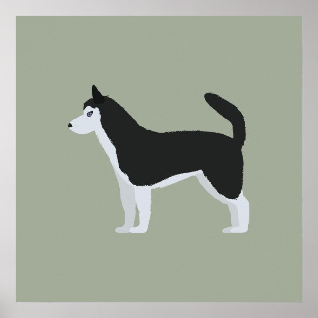 Siberian Husky Poster (Front)