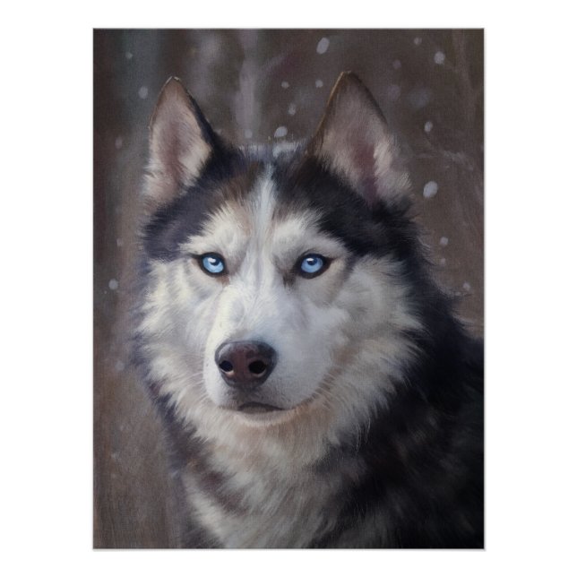 Siberian Husky Poster (Front)