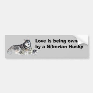 Siberian Husky & Puppies Bumper Sticker