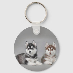 Siberian husky puppies key ring