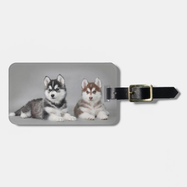 Siberian husky puppies luggage tag (Front Horizontal)