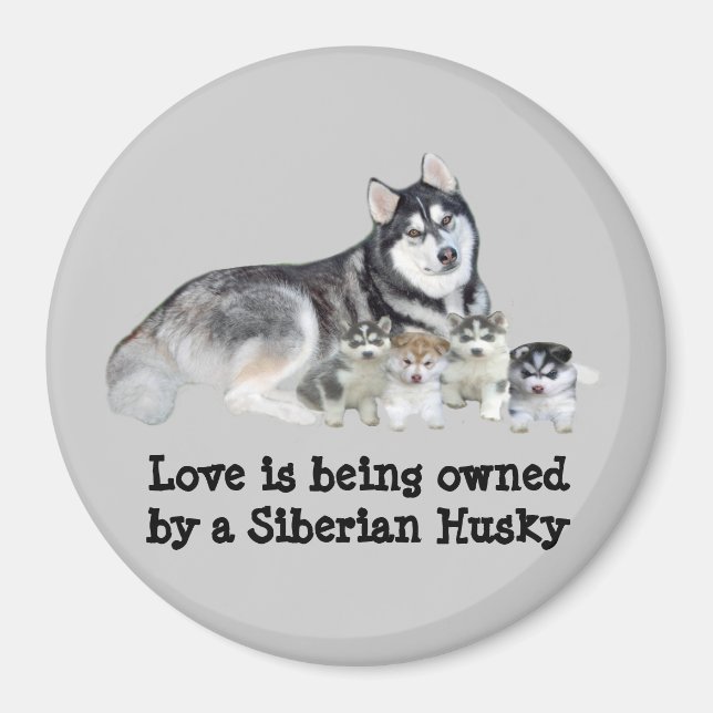 Siberian Husky & Puppies Magnet (Front)