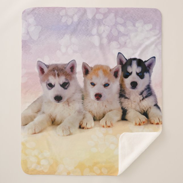 Siberian Husky Puppies Sherpa Blanket (Front)