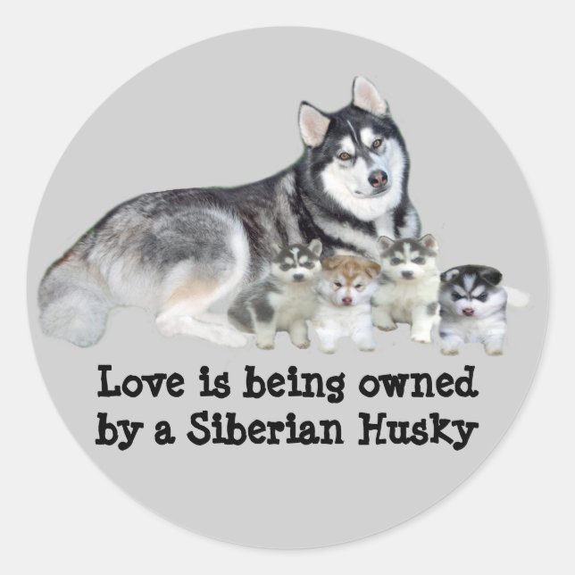 Siberian Husky & Puppies Sticker (Front)