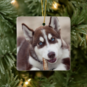 Siberian Husky Puppy at the Beach Ceramic Ornament