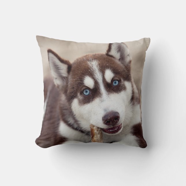 Siberian Husky Puppy at the Beach Cushion (Front)