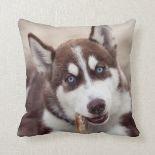Siberian Husky Puppy at the Beach Cushion