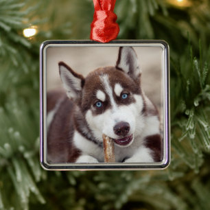 Siberian Husky Puppy at the Beach Metal Tree Decoration