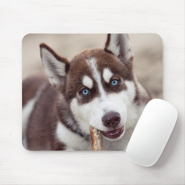 Siberian Husky Puppy at the Beach Mouse Mat (With Mouse)