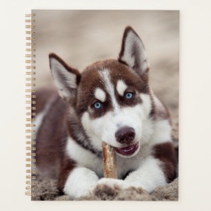 Siberian Husky Puppy at the Beach Planner
