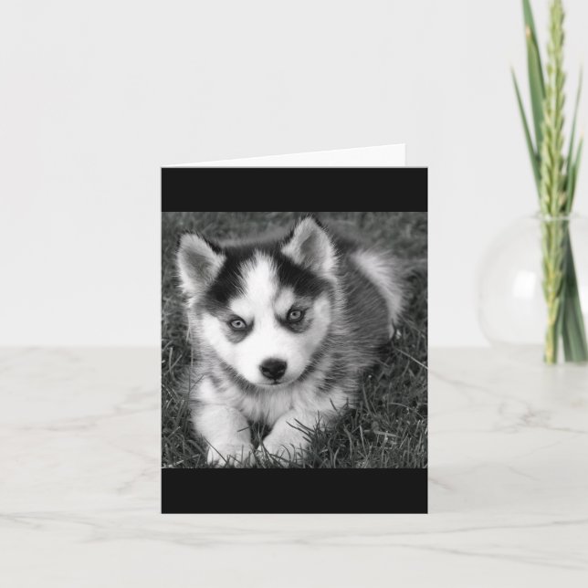 Siberian Husky Puppy Dog Blank Greeting Note Card (Front)