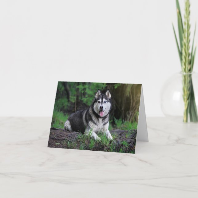 Siberian Husky Puppy Dog - Hello, love, Thank You, You Card (Front)