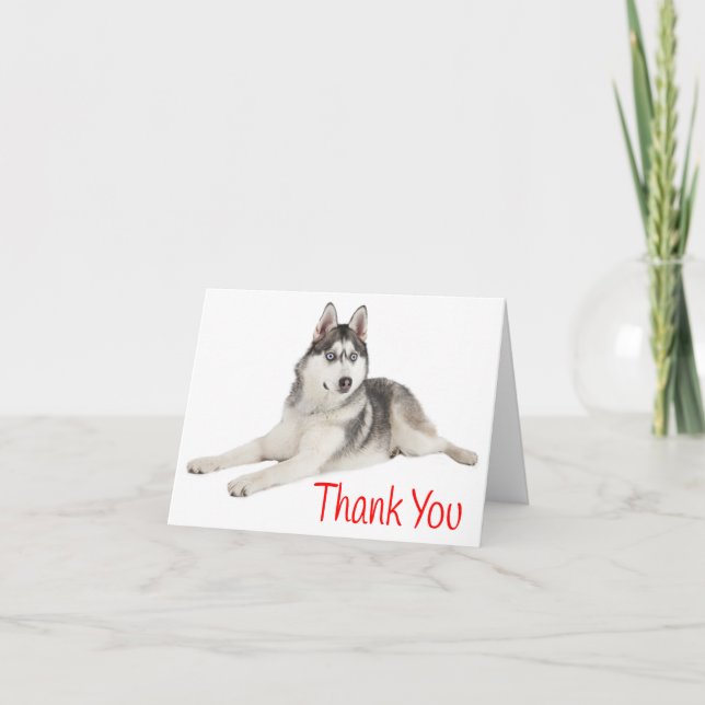Siberian Husky Puppy Dog Red Thank You - Blank (Front)