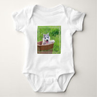Siberian Husky Puppy in a Pot