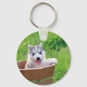 Siberian Husky Puppy in a Pot Key Ring