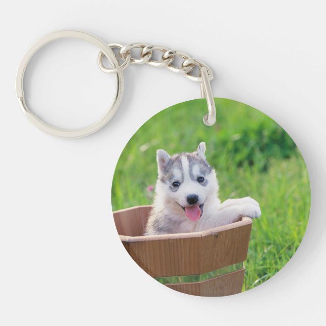 Siberian Husky Puppy in a Pot Key Ring (Front)