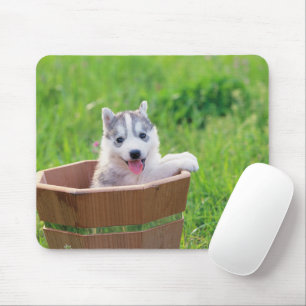 Siberian Husky Puppy in a Pot Mouse Mat