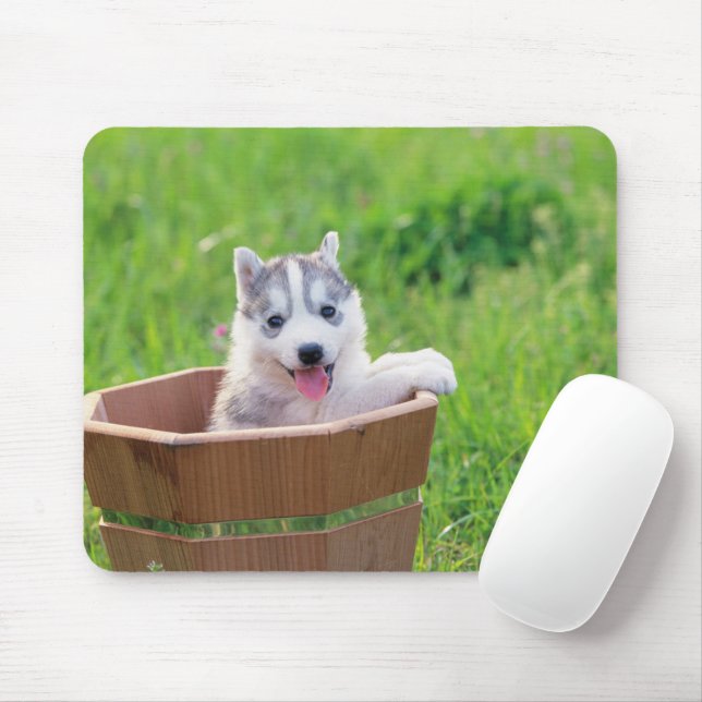 Siberian Husky Puppy in a Pot Mouse Mat (With Mouse)