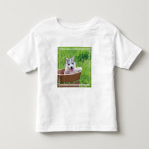 Siberian Husky Puppy in a Pot Toddler T-Shirt
