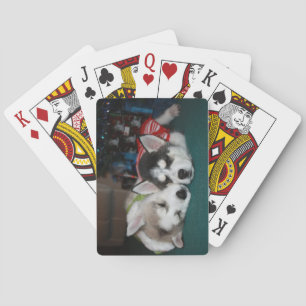 Siberian Husky Puppy Playing Cards