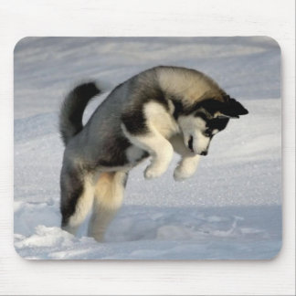 Siberian Husky puppy playing in the snow. Mouse Mat