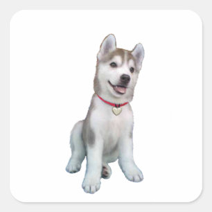 Siberian Husky Puppy Square Sticker