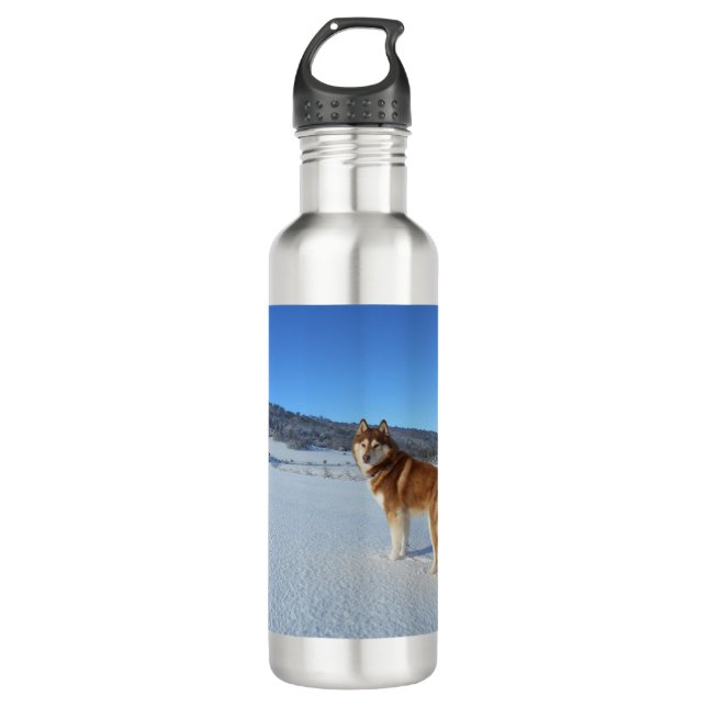 siberian-husky-red and white full 710 ml water bottle (Front)